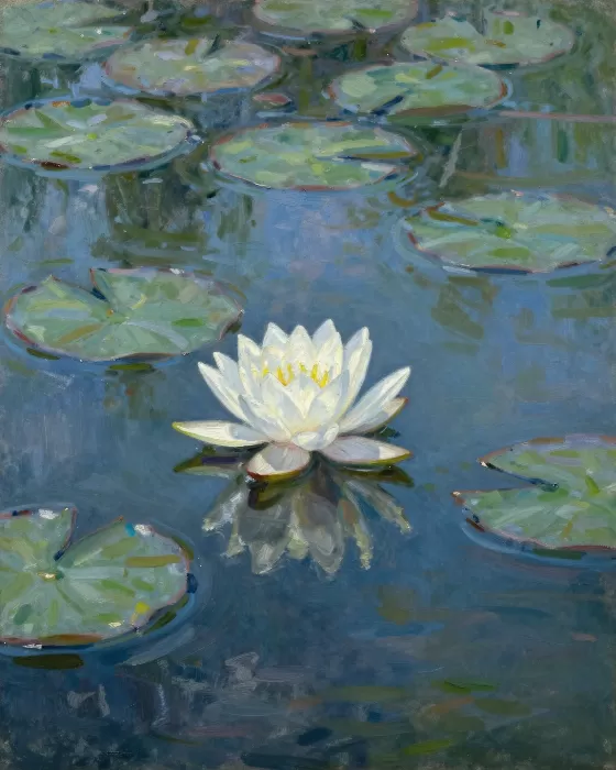 Luminous Lily