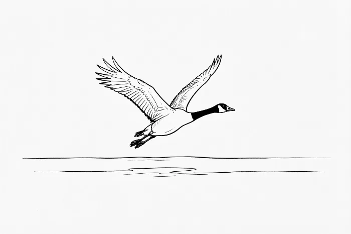 Lift Off
