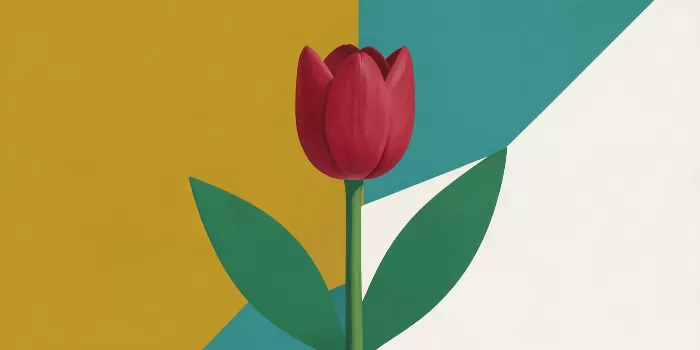 Flat Tulip
