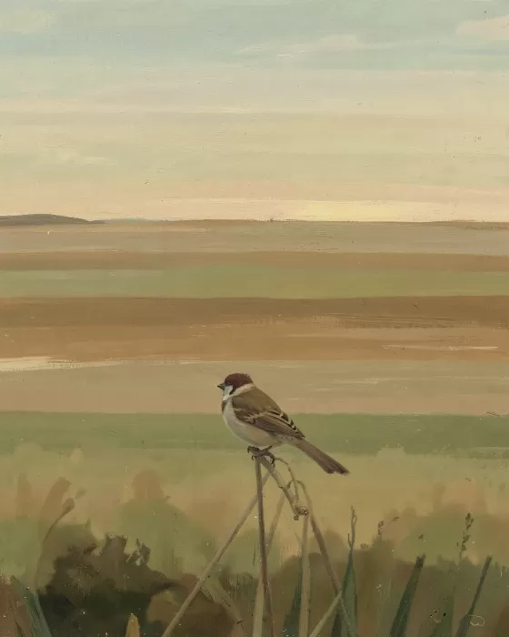 Sparrow Rest