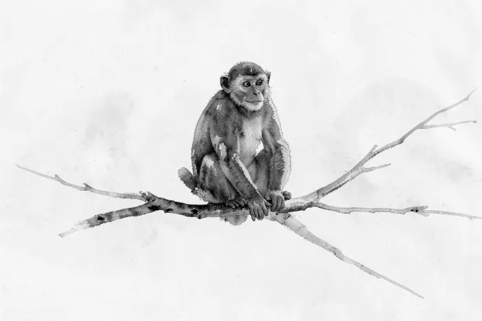 Ink Monkey
