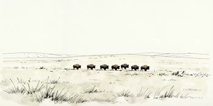 Distant Herd