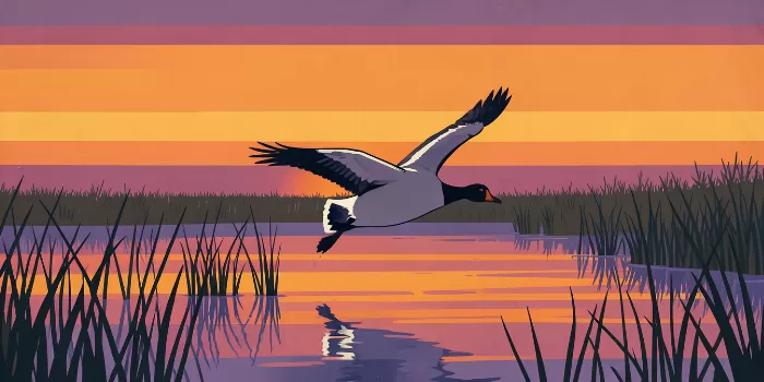 Goose At Dusk