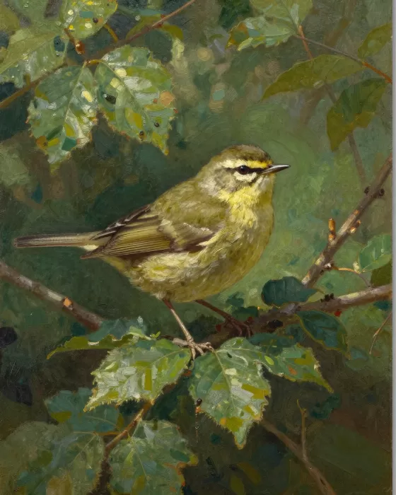 Woodland Warbler