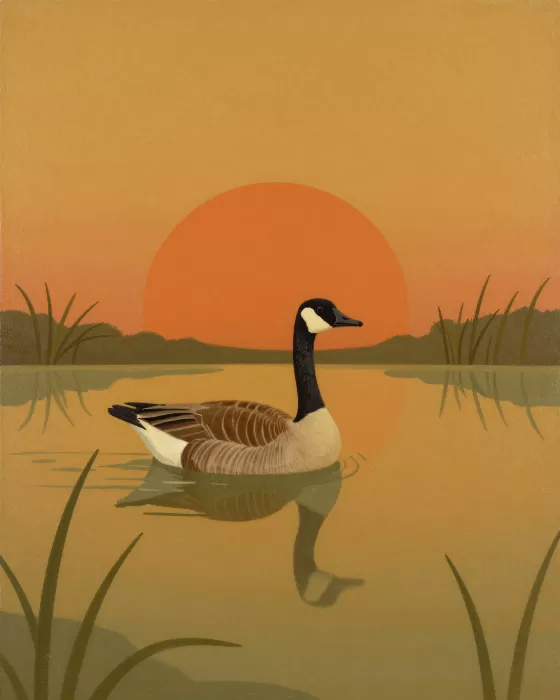 Still Waters VII