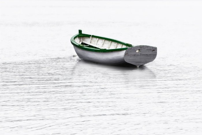 At Rest - Newfoundland art print