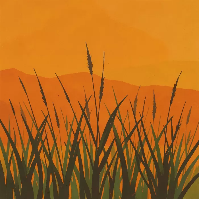 Dry Grasses
