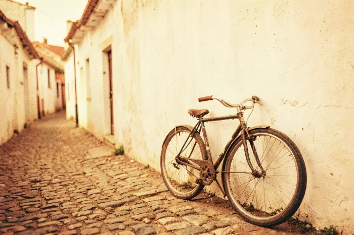 Village Bicycle