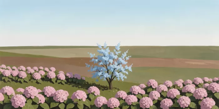 Hydrangea Slope