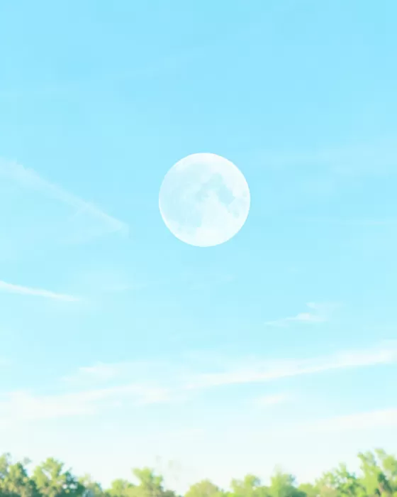 Daylight Moon