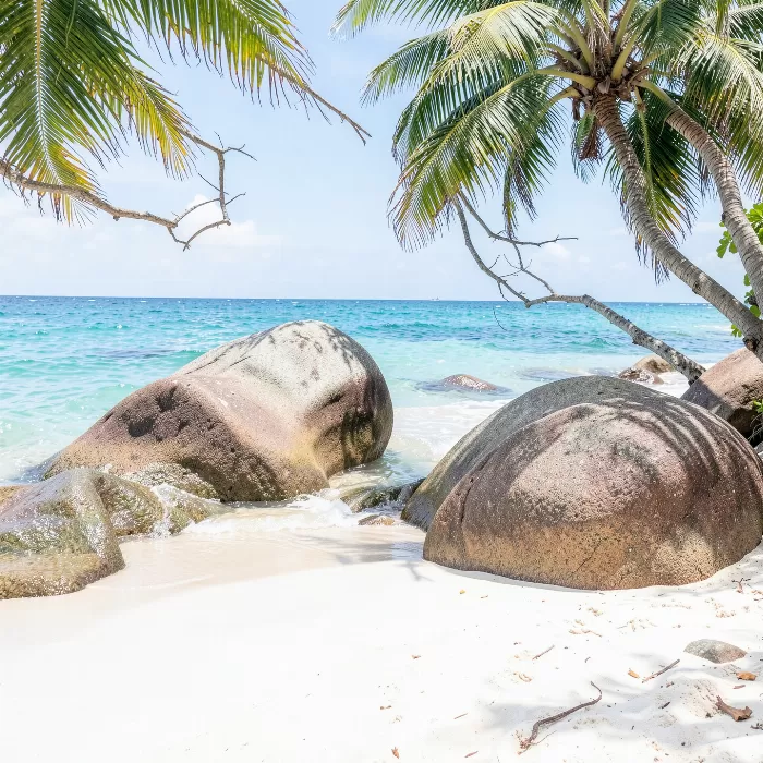 Palm Boulders