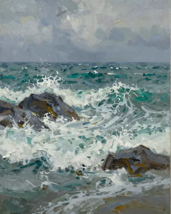 Stormy Coast