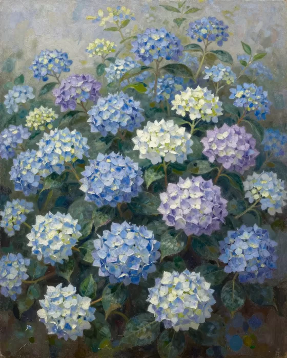 Summer Hydrangeas