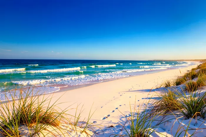 Gulf Shores