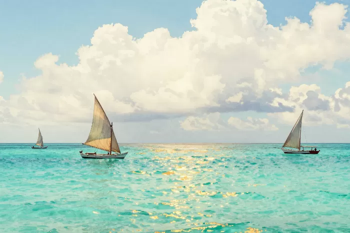 Sail Reflections