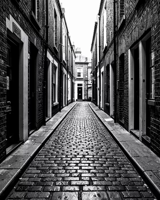 Shadow Alley