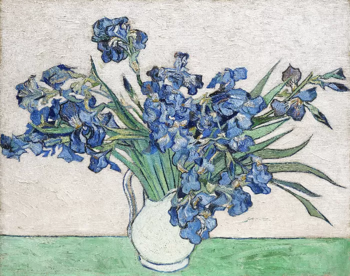 Irises