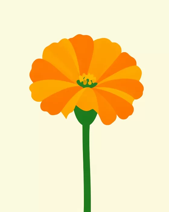 Midcentury Marigold