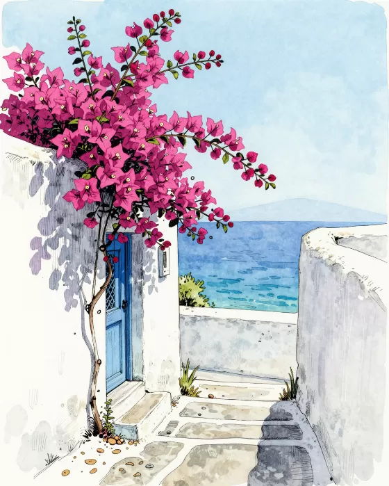 Bougainvillea Doorway