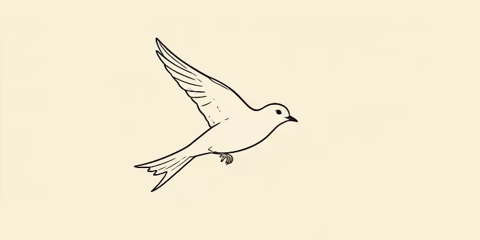 Swallow
