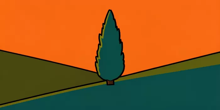 Cypress Sunset