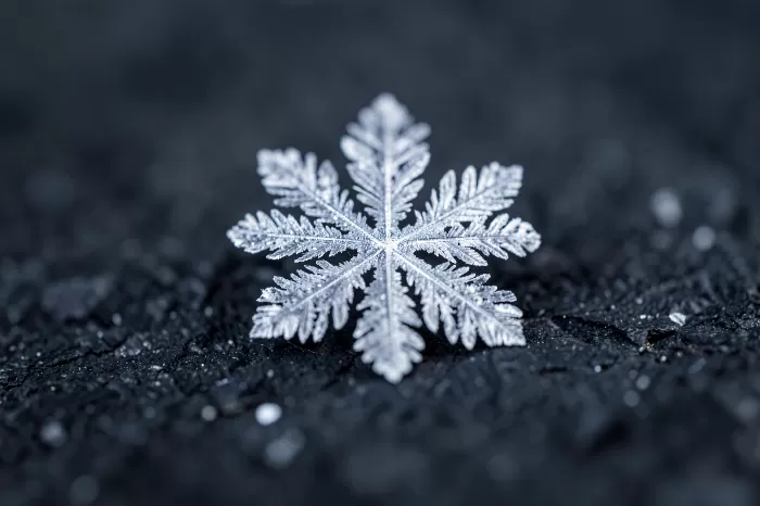 Frost Shard