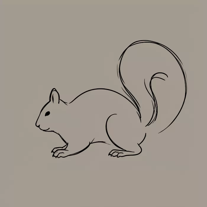 Squirrel Sketch