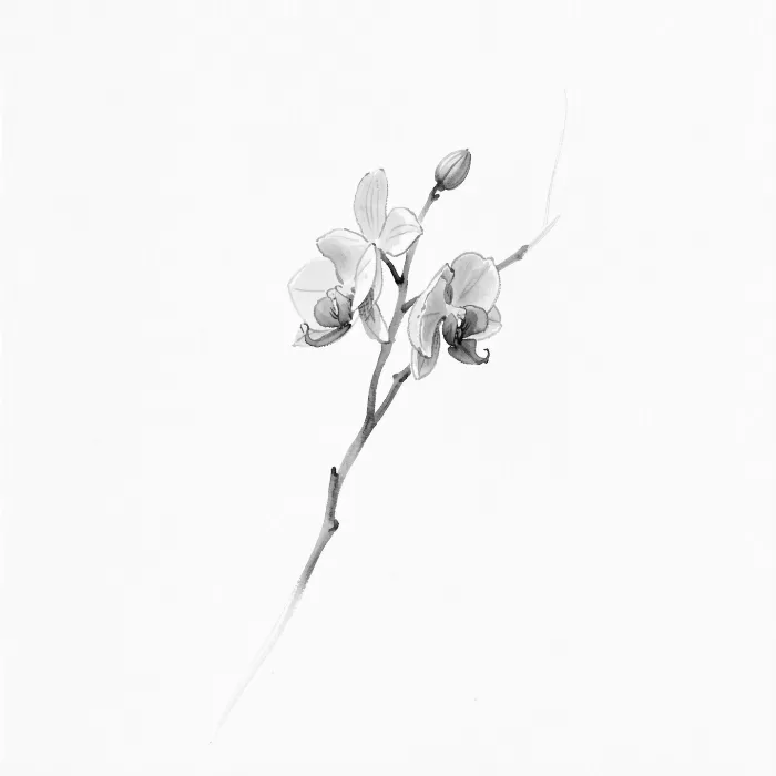 Orchid Wash