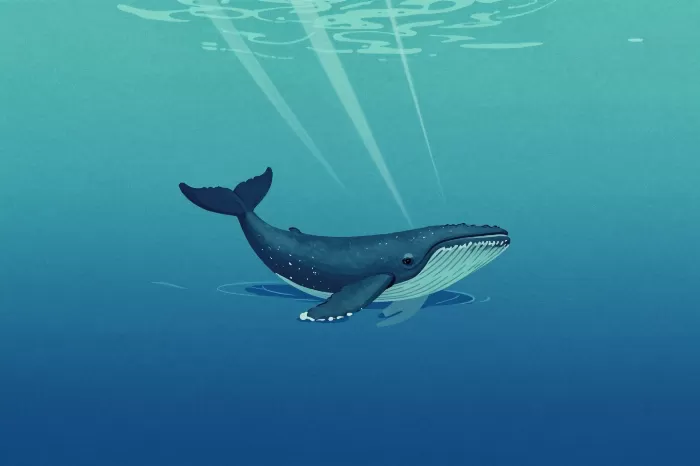Sea Ray