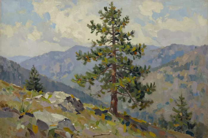 Alpine Pine