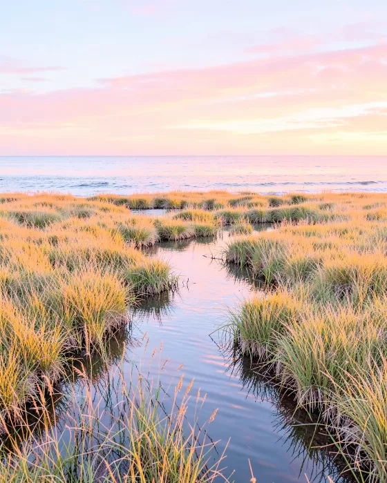 Sunset Slough