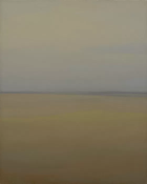 Misty Plains