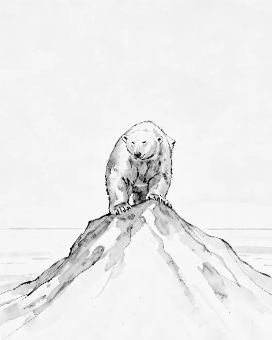 Arctic Stand
