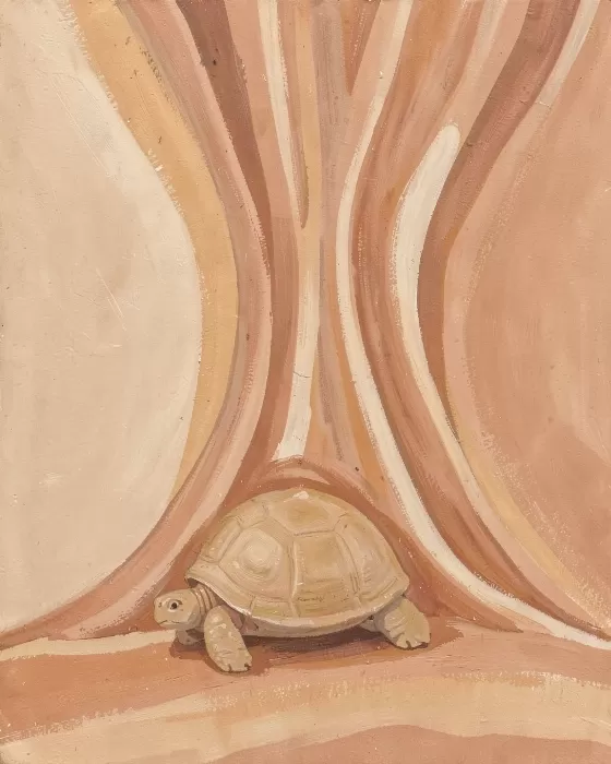 Earth Shell