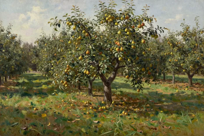 Autumn Pear