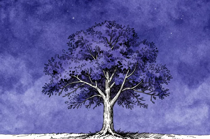 Starlit Sentinel
