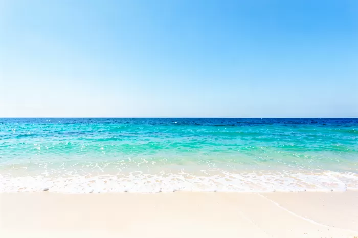 Bright Shore