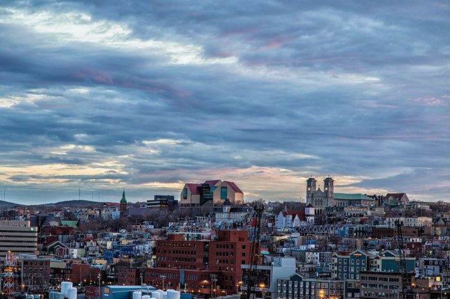 City Of Friends - Newfoundland art print