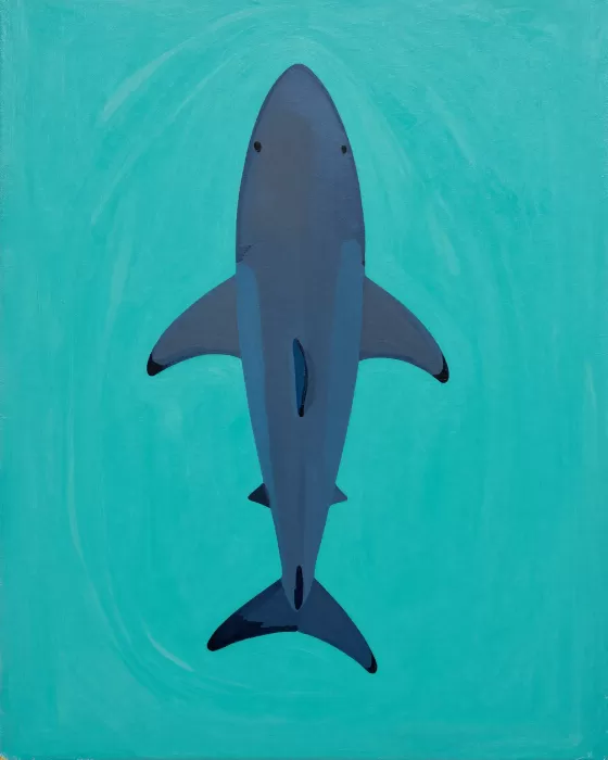 Shark Current