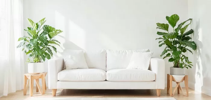 Fresh Sofa