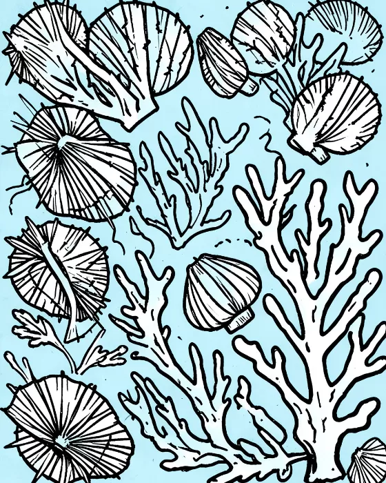 Coastal Urchins