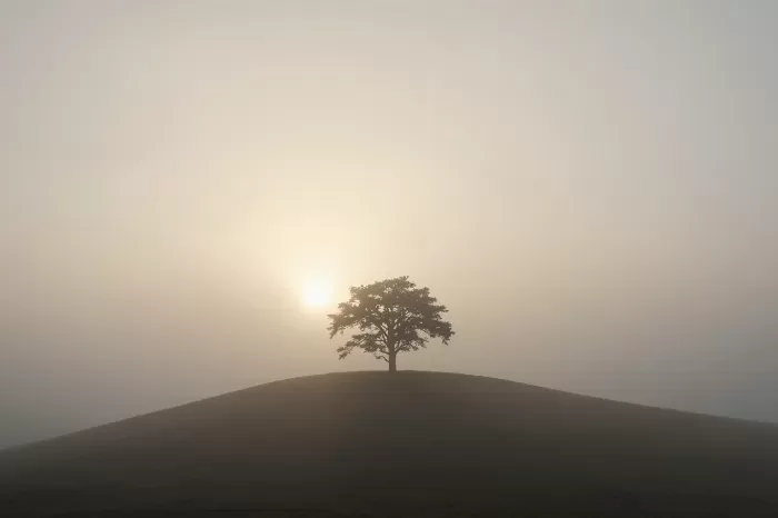 Hilltop Vigil