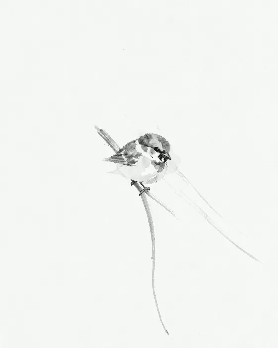 Sparrow