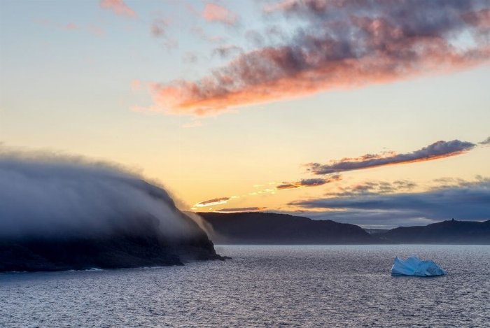 Forces of Nature - Newfoundland art print
