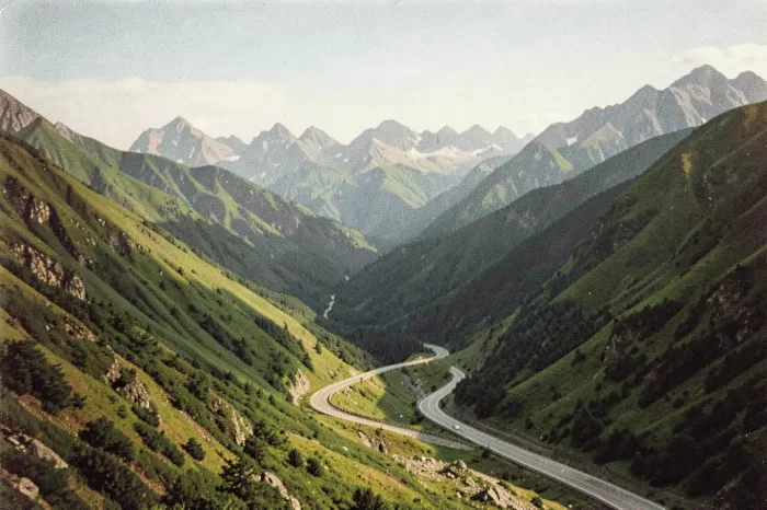 Alpine Curve