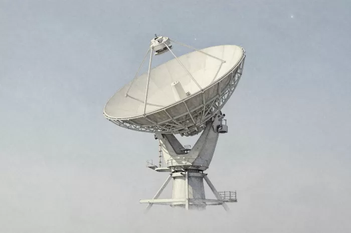 Dish Bloom