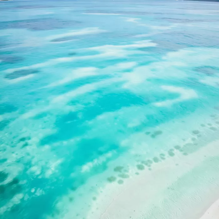 Lagoon Drift
