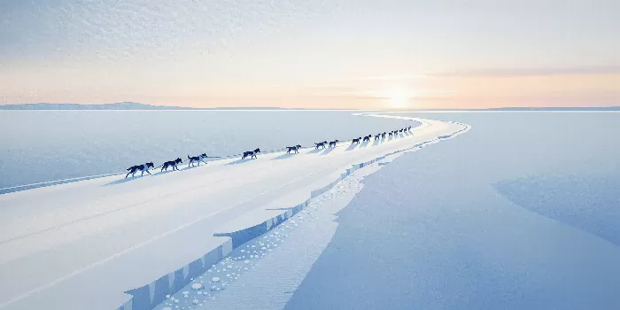 Arctic Ribbon