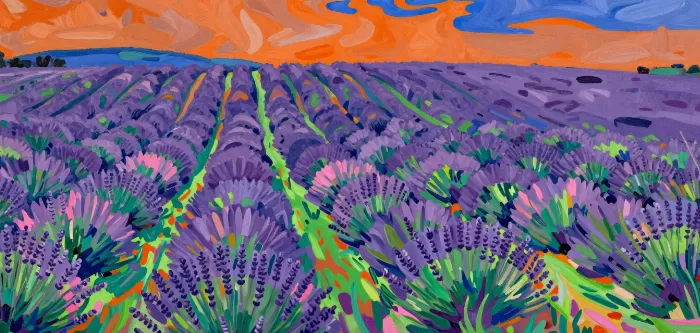 Tasmanian Lavender