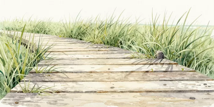 Dock Grasses